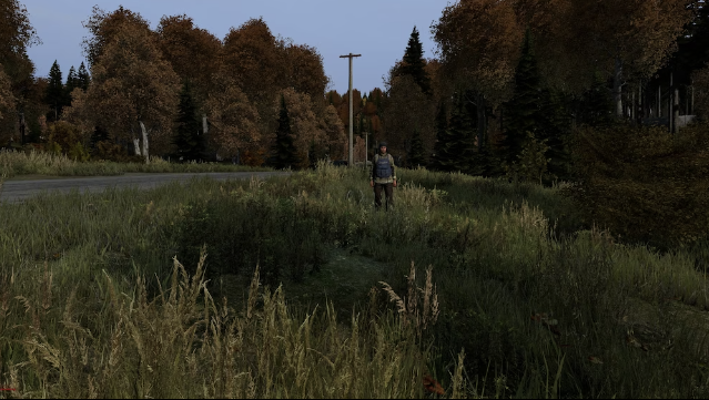 DayZ (PS5)